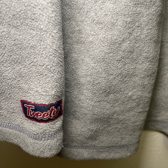 Warner Bros. Gray Hoodie with Tweety and Feisty Embroidery - Picture 5 of 8